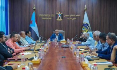 الشؤون الخارجية تؤكد على مكانة الجنوب وقضيته الوطنية لتحقيق سلام شامل ومستدام