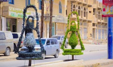 صندوق نظافة سيئون يواصل إبداعاته الجمالية