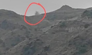 المقاومة الجنوبية تستهدف مواقع المليشيا الحوثية الارهابية بجبهة ثره