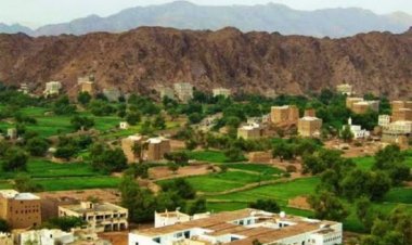 شاب يقتل والده وعمه وشقيقه في الصعيد بمحافظة شبوة