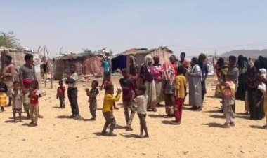 الأمم المتحدة: 11 ألف مهاجر أفريقي وصلوا إلى اليمن