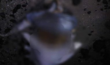 العثور على جثة صياد من ضحايا قارب غارق بسواحل أبين