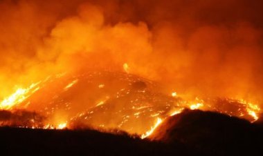 موجات من الحر الشديد تجتاح العالم