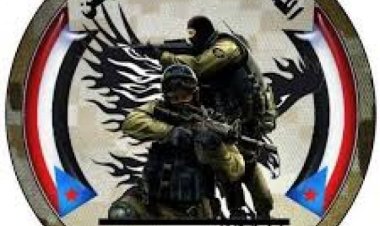 الجنوب ومكافحة الإرهاب.. التزام راسخ يحقق استقرارا للمنطقة