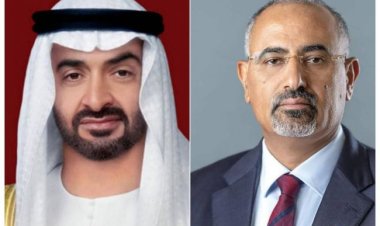 الرئيس الزُبيدي يُعزي قيادة الإمارات في وفاة الشيخ سعيد بن زايد