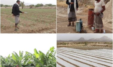 جماهيرية انتقالي المحفد تلتقي عدداً من المزارعين بالمديرية.