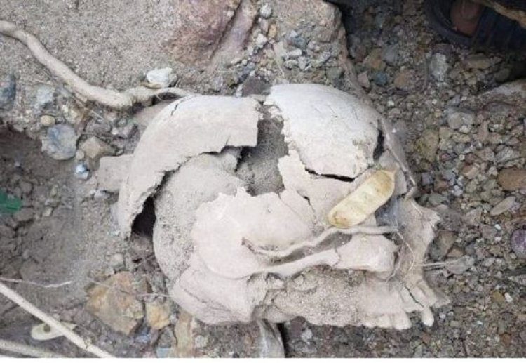 العثور على هياكل عظمية لضحايا الحوثي في حرف سفيان بعمران