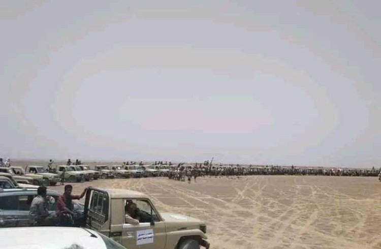قبائل الصبيحة تنفذ وقفة احتجاجية مسلحة رفضًا لاستحداث قوات طارق صالح موقعًا عسكريًا في أراضيها