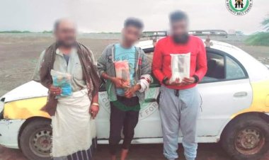 حزام الساحل بأبين يُلقي القبض على عصابة ترويج الحشيش المخدر بشقرة