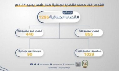 1029 متهما في قبضة الشرطة على ذمة قضايا جنائية خلال يوليو الماضي