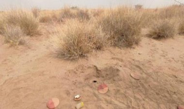 اكتشاف حقل ألغام وعبوات ناسفة من مخلفات الحوثي في ريف حيس.