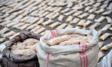 العراق يضبط أكبر كمية مخدرات في تاريخه