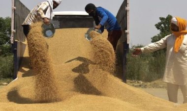 توجه هندي لإلغاء الرسوم على واردات القمح