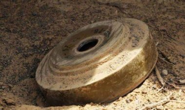 مسام: نزع 1055 لغما وذخيرة حوثية خلال الأسبوع الماضي