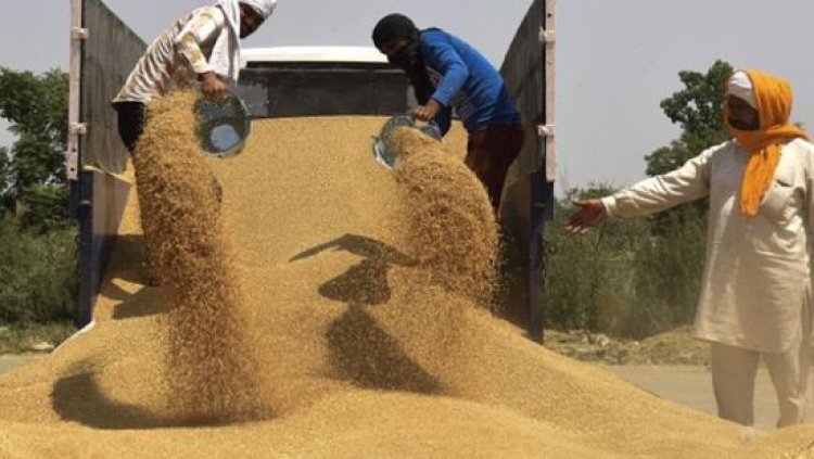توجه هندي لإلغاء الرسوم على واردات القمح