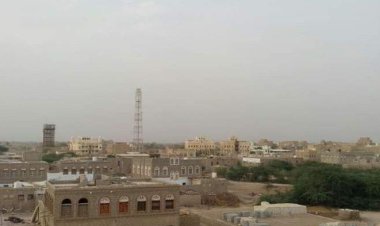 تجار شماليين يبيعون سلع غذائيّة منتهية الصلاحية بأحور