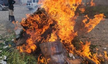 إحراق كميات كبيرة من القات في محافظة سقطرى بعد قرار بمنع دخولها