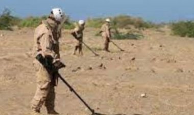 مسام ينزع 480 لغم وعبوة ناسفة في مديرية الوادي بمأرب اليمنية