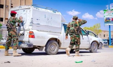 حملة أمنية مفاجئة في عاصمة شبوة