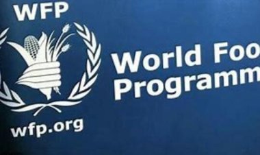 المديرة الإقليمية لبرنامج الأغذية العالمي: مخزوننا في غزة بدأ ينفد.