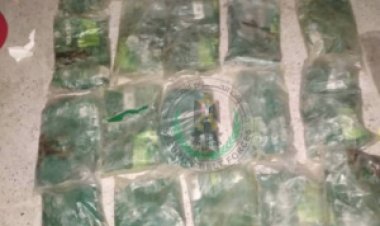 قوات الحزام الأمني تحبط عملية تهريب كمية من المخدرات بمودية