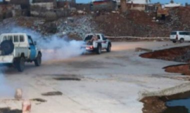 حملة رش ضبابي في الريدة وقصيعر لمكافحة البعوض