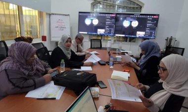 وكيل وزارة الصحة قطاع السكان يناقش مع منظمة الصحة العالمية بناء قدرات نقاط الاتصال الوطنية لبيانات الصحة والتغذية