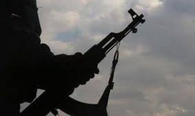 مليشيا الحوثي تخطف بائع بطاطا في إب طَالَب بقيمة ما أكله عناصرها