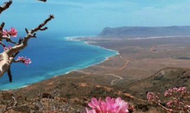 إنتعاش حركة السياحة في أرخبيل سقطرى