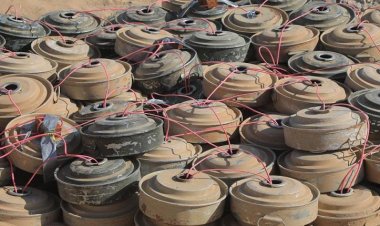 شبوة.. نزع 289 لغماً وعبوة ناسفة زرعتها مليشيا الحوثي