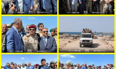 الرئيس الزُبيدي يتفقد جزيرة ميون وباب المندب