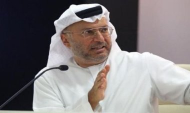 قرقاش: الإمارات حققت في 2023 إنجازات عديدة وسجلت حضورا دوليا لافتا