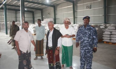 السلطة بالشحر توقف مصنع لطحن الاسماك عن العمل نتيجة لعدم استيفاءه للشروط اللازمة