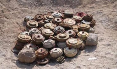 نزع 731 لغماً وذخيرة حوثية خلال أسبوع
