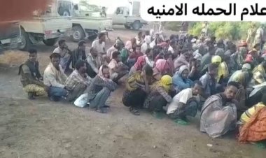 احباط عملية تهريب مهاجرين افارقة غير شرعيين بلحج