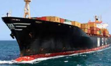 واشنطن إكزامينير: ‏عقوبات أمريكية على شركة تركية تمول الحوثيين وفيلق القدس