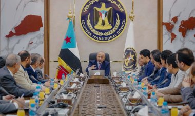 هيئة الرئاسة تناشد المنظمات الدولية سرعة التدخل لوقف تداعيات الكارثة البيئية الناتجة عن غرق السفينة "روبيمار"