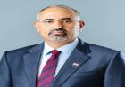 الرئيس الزُبيدي ينعي وفاة الشيخ أحمد الخضر الدماني