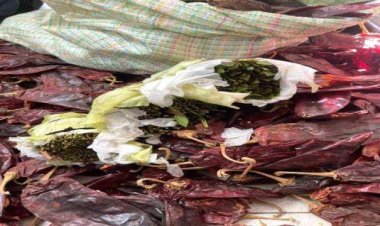 سلطات مطار عدن الدولي تحبط عملية تهريب كميات من القات