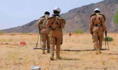 مسام: انتزاع أكثر من 500 مادة متفجرة خلال أسبوع