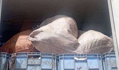 حزام عدن يحبط عملية تهريب كميات كبيرة من الأسماك الممنوع اصطيادها