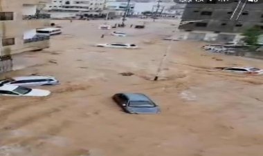 الوكيل الشبحي يوجه برفع الجاهزية والاستعداد في جميع المستشفيات في محافظة حضرموت وباقي المحافظات المحررة