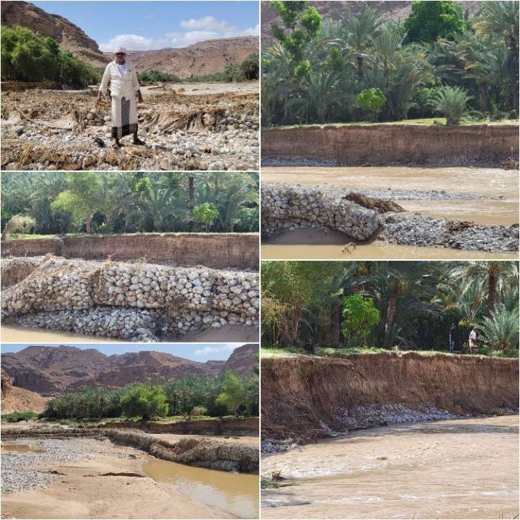 رئيس انتقالي حجر بحضرموت يتفقد الاضرار التي خلفته السيول الجارفة للاراضي الزراعية بالمديرية