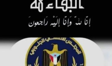 رئيس انتقالي أبين يعزي العميد الخضر النوب المحثوثي في وفاة ابن اخيه وابن بن عمه