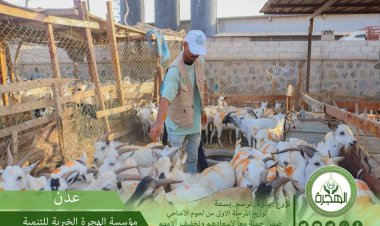 مؤسسة الهجرة تختتم حملة توزيع لحوم الأضاحي لأكثر من 1000 أسرة بالعاصمة عدن ولحج وأبين