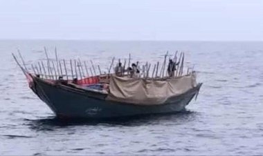 المهرة..إحباط محاولة تهريب مهاجرين غير شرعيين في شحن