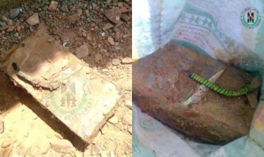 الحزام الأمني يحبط مخططا إرهابيا في أبين