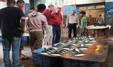 انتقالي العاصمة عدن يتفقد اسواق الخضار واللحوم في صيرة .