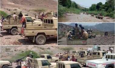 لحج.. الحزام الأمني بالمسيمير يواصل حملاته الأمنية لملاحقة العناصر المتحوثة بالمديرية