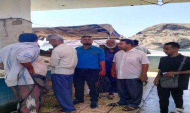 العاصمة عدن.. محلي صيرة يتفقد أسعار الاسماك في حراج المديرية